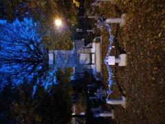 20181109_173546[2]
