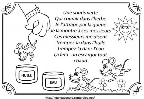 souris verte.jpg