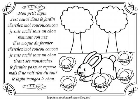 mon petit lapin.jpg