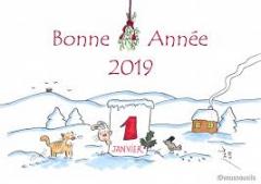 bonne année.jpg