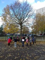 arbre novembre