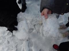 glace dans la cour