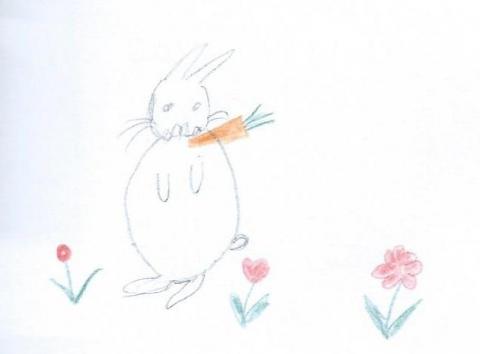 petits lapins Alban