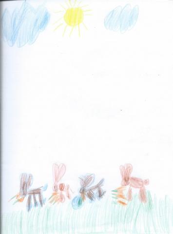 petits lapins Noé