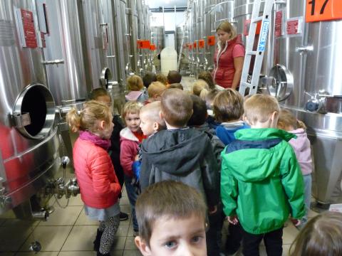 VISITE DE LA CUVERIE