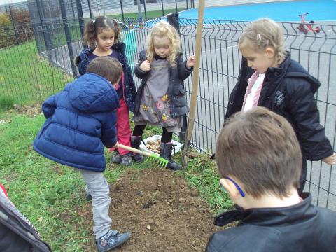 2015-11-10 17.03.27.jpg