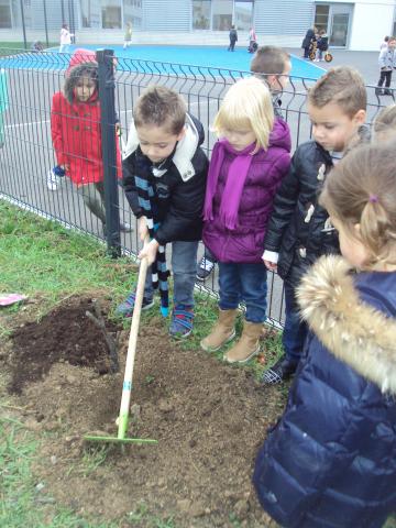 2015-11-10 17.27.01.jpg