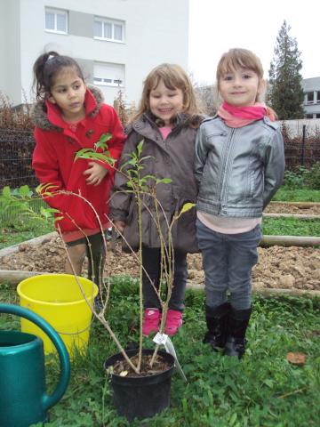 2015-11-10 17.50.13.jpg