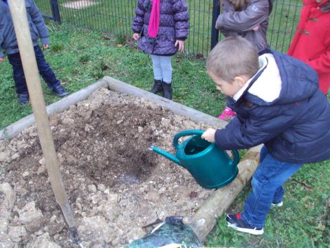 2015-11-10 17.53.37.jpg