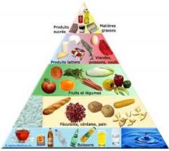 pyramide alimentaire.jpg