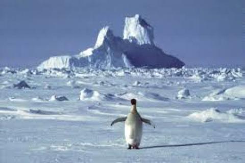 continent antarc.jpg