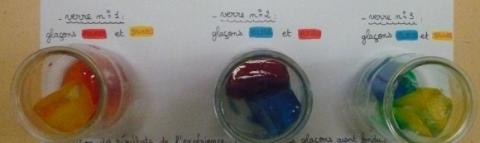 Les glaçons colorés