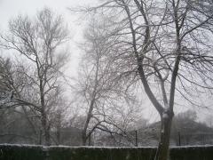 100_4390.JPG