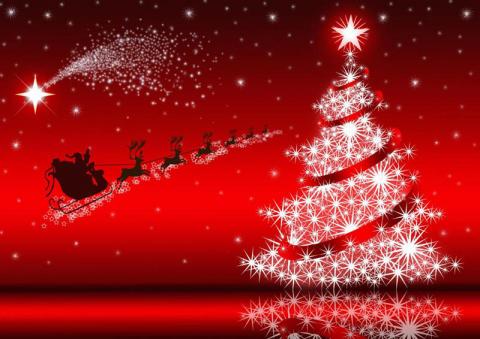 noel_sapin