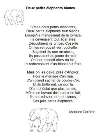 deux_petits_elephants_blancs