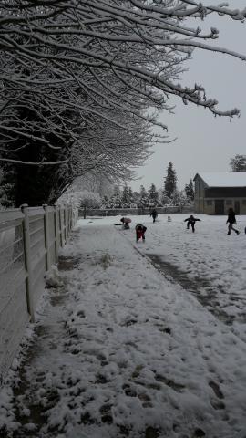 20180207_100734.jpg