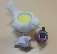 oiseaux_maelya