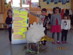 SUNP0050