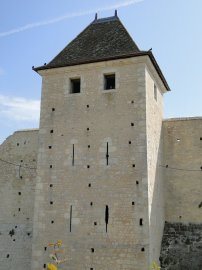 DSC02695