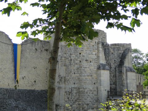 DSC02696