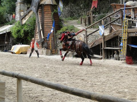 DSC02807