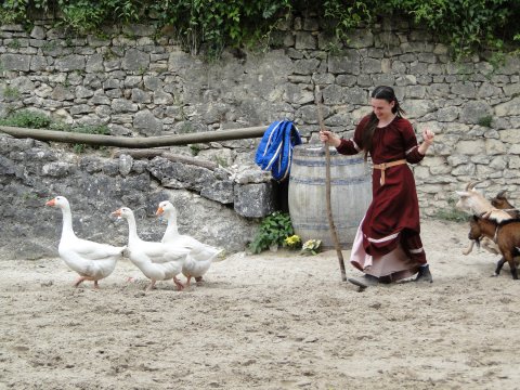 DSC02784