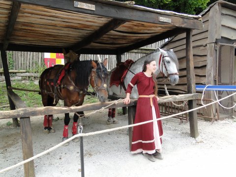 DSC02755