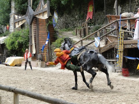 DSC02806