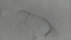 IMAG2692