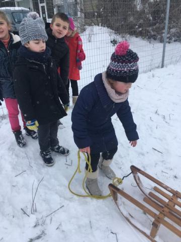 luge (2)