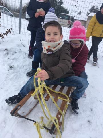 luge (5)