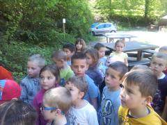IMG_20170510_140544.jpg