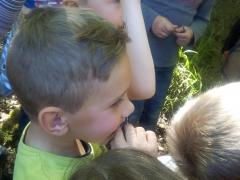 IMG_20170510_142517.jpg