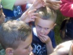 IMG_20170510_142526.jpg