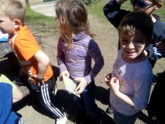 IMG_20170510_151622.jpg