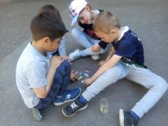 IMG_20170510_164025.jpg