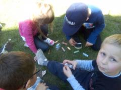IMG_20170510_164042.jpg