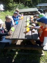 IMG_20170510_170820.jpg