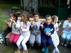 IMG_20170510_203949.jpg
