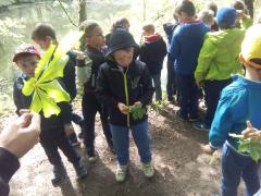 IMG_20170511_103530.jpg