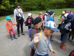 IMG_20170511_142602.jpg