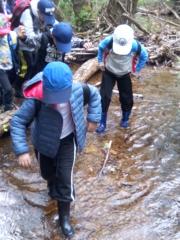 IMG_20170511_152410.jpg