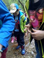 IMG_20170511_152447.jpg